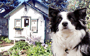 Animal Care Center